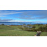Sitio Con Vista Y Acceso Al Lago Ranco
