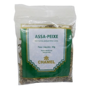 Chá De Assa-peixe 30 Gramas - Puro 100% Natural