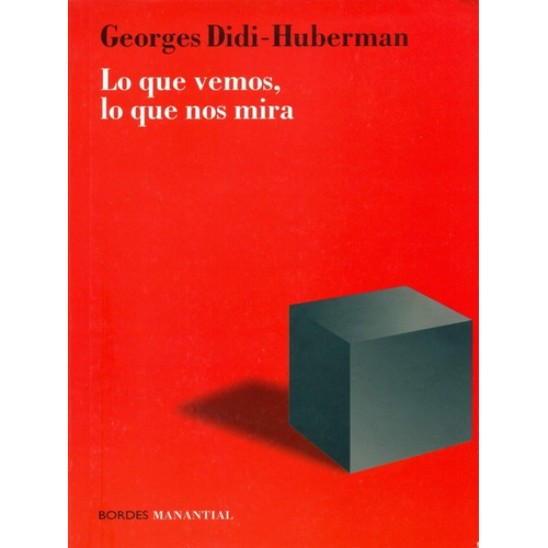 Lo Que Vemos, Lo Que Nos Mira - Georges Didi-huberman