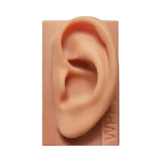 Orelha De Silicone Acupuntura Auricular - Auriculoterapia