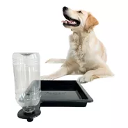 Kit  Alimentador De Água Automático Para Cães, Gatos, Etc.