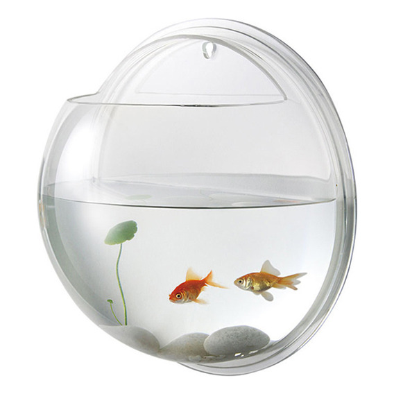 Accesorios Para Peceras Betta Y Acuario