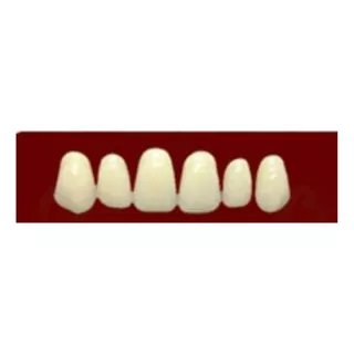 Dientes Para Protesis De Acrilico Smile Dental. Medinfadent