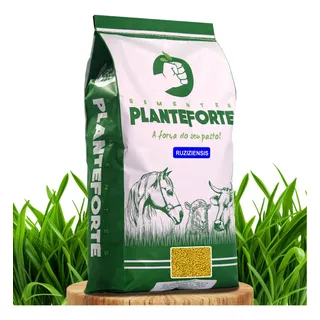 Semente Brachiaria Ruziziensis Incrustada - Linha Gold - 5kg