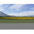 Ultimas Dos Parcelas En Venta En Isla De Maipo