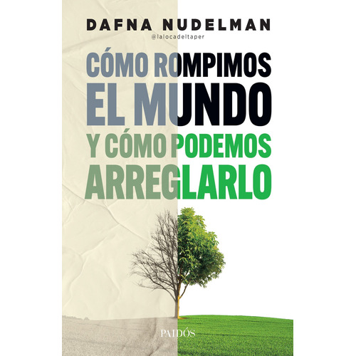 Como Rompimos El Mundo - Dafna Nudelman - Paidos - Libro