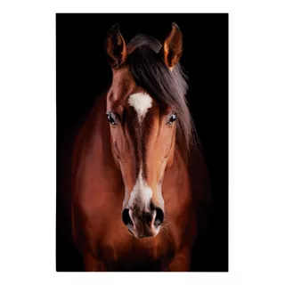 Quadro Tela Canvas Cavalo Marrom Alazão Animal 75x50cm