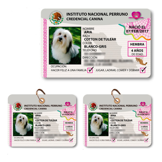 Credencial Para Mascotas Tipo Ine, Ife. (perro).