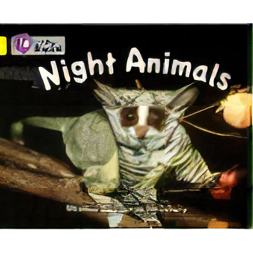 Night Animals - Band 3 - Big Cat, De Spilsbury, Louise. Editorial Harper Collins Publishers Uk En Inglés, 2011
