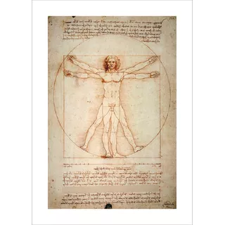 Lamina Fine Art El Hombre De Vitruvio Da Vinci 50x70 Cm Myc
