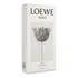 Solo Loewe Ella 100ml Edp Spray - Dama
