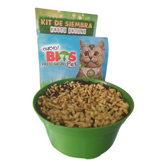 Set Siembra Hierba Gatuna Semillas Hierba Gatera Y Matera Pet Shop 120g