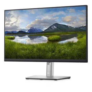 Monitor Dell P Series P2422h Lcd Tft 23.8  Negro Y Plateado 100v/240v