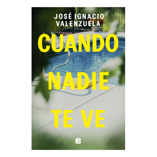 Cuando Nadie Te Ve, De Valenzuela; José Ignacio. Editorial Ediciones B, Tapa Blanda En Español, 2023