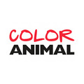 Color Animal