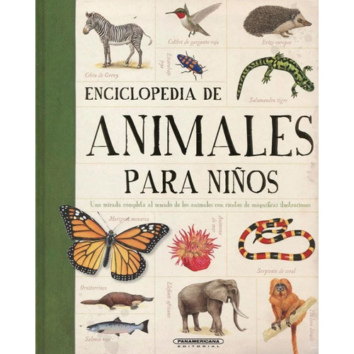 Enciclopedia de animales para niños, de CAMILLA DE LA BEDOYERE. Panamericana Editorial, tapa blanda, edición 2022 en español