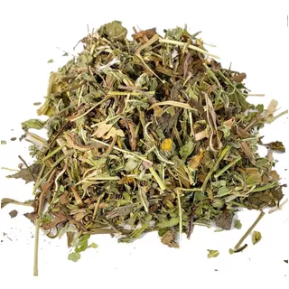 Diente De León, Hierba Medicinal Infusión