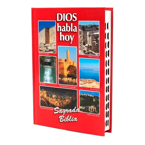 Sagrada Biblia Dios Habla Hoy Tapa Dura Roja, De Vários Autores., Vol. Único. Editorial Sbu, Tapa Dura En Español, 2015
