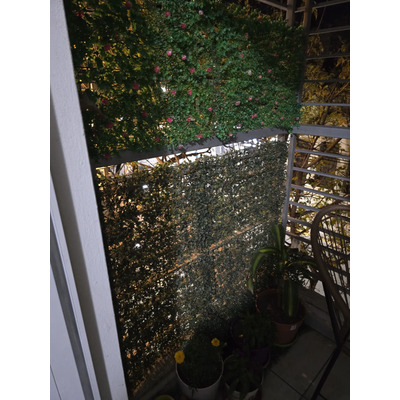 Foto del comprador