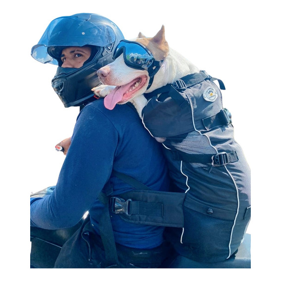 Maleta Para Llevar Tu Perro En Moto 