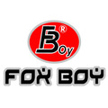 Fox Boy