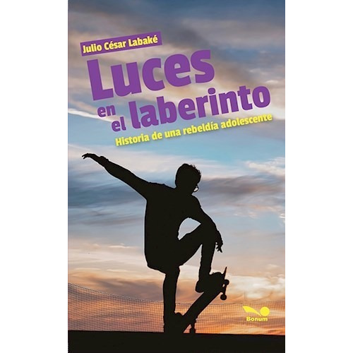 Libro Luces En El Laberinto De Julio Cesar Labake