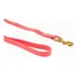 J&j Dog Supplies J&j Pink Biothane Dog Leash, 3/4 Wide By Color Rosa/rebel Fun