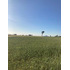 Cod36634 Campo Agrícola De 19 Hectareas En Venta En Victoria