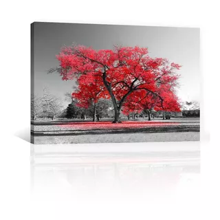 Cuadro Decorativo Canvas Naturaleza Bosque Arbol Rojo