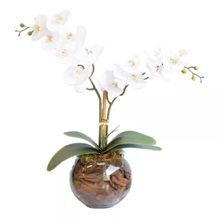 Arranjo De Orquídeas Branca Toque Real No Vaso Transparente