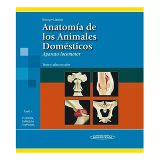 Anatomía De Los Animales Domésticos. Tomo 1: Aparato Locomot
