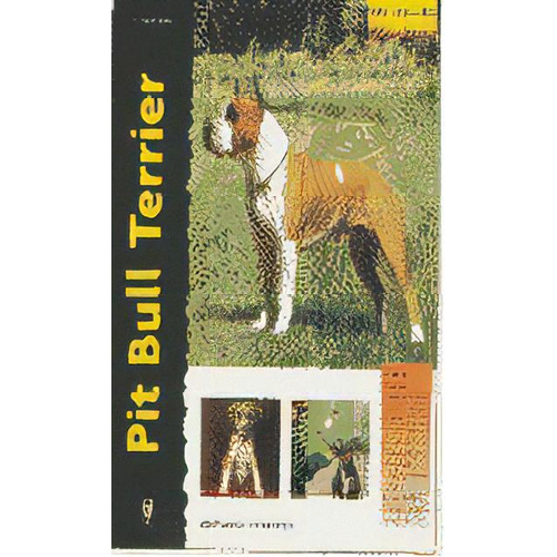 Pit Bull Terrier, De Favorito, F.. Editorial Hispano Europea, S.a., Tapa Dura En Español