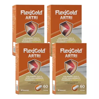 Flexigold Raul Gil Colágeno Tipo 2 Curcuma Magnesio Kit 240