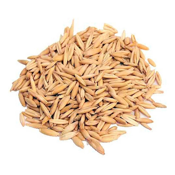 Semillas De Avena Variedad Cristal X 25 Kg.