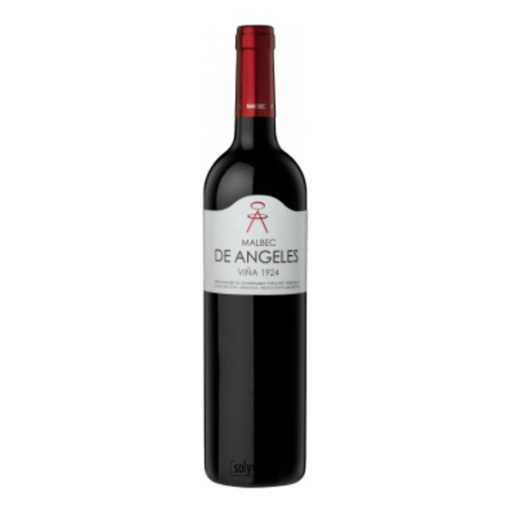 Pack X2 Vino De Angeles Malbec X750. Viña 1924. Parcela 3