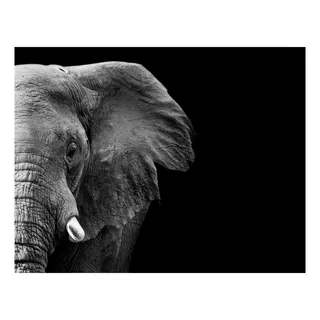 Cuadro Elefante Animales 120x70 Otros Diseños Tela Canvas