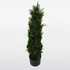 Planta Artificial Pino Con Maceta 0,9 Mts Decoracion Mli Color Verde
