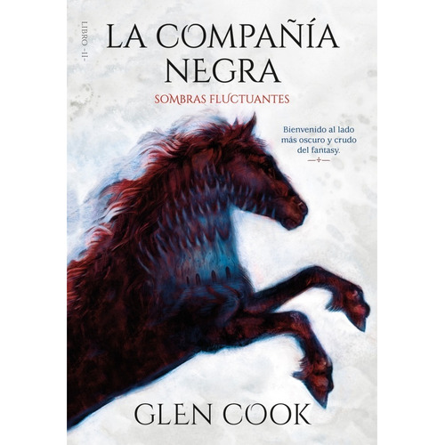 Libro Sombras Fluctuantes (la Compañía Negra 2) Glen Cook