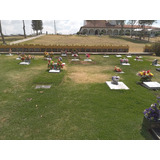 Lote Cementerio Jardines De La Asuncion Tunja 