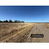 Parcelas En Venta 5000m2  Camino A Cato Chillán