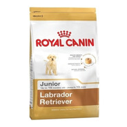 Alimento Royal Canin Breed Health Nutrition Labrador Retriever Para Perro Cachorro Todos Los Tamaños Sabor Mix En Bolsa De 13.63kg