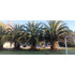 Parcela En Venta | 5.000 M² | 3 Piscinas | Amplios Espacios