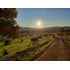 Lindo Campo Para Desarrollo Inmobiliario