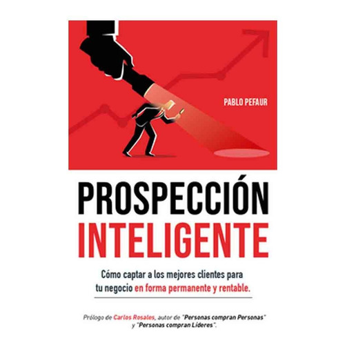 Pablo Pefaur | Prospeccion Inteligente