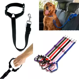Correa Cinturón Seguridad Mascota Perro Carro  Colores