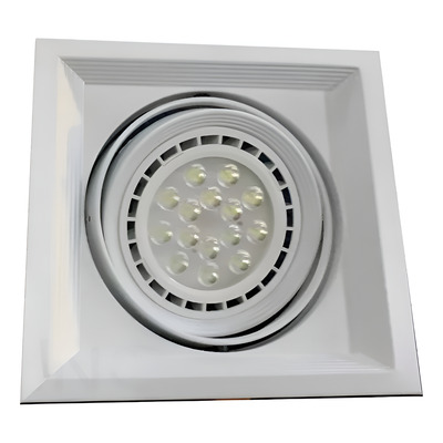 Spot Embutir 1 Luz Scenic Cardanico Profesional Ar111 Sf Blanco