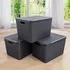 Caja Cesto Canasto Organizador Rattan 20lts Tapa - Negro