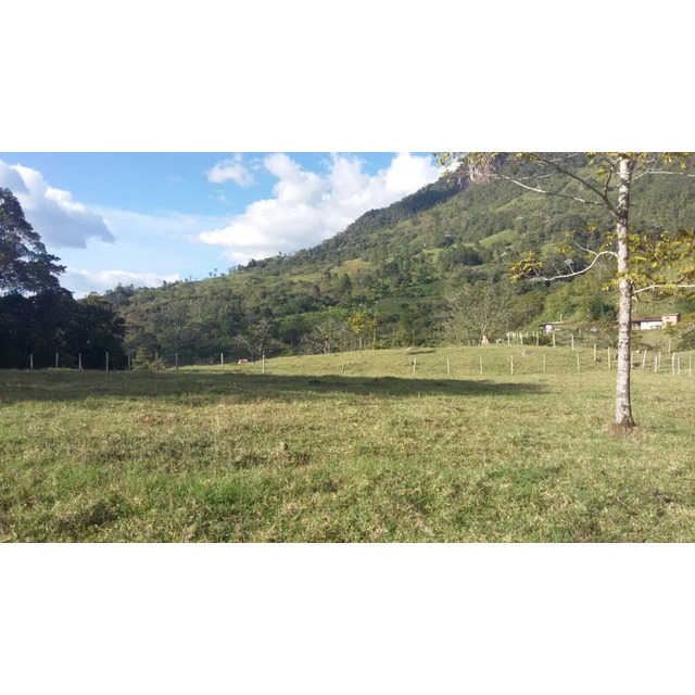 Vendo Fincas De: 9, 62,5 Y 114 Cuadras, En El Quindío, Eje C