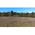 Parcela 5.000m2 | Sector Puquereo | Eje Freire-villarrica