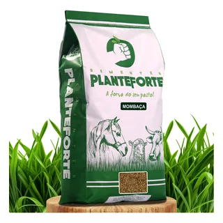 Sementes Plante Forte Capim Mombaça 2kg